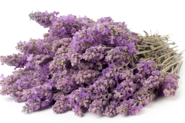 Big Ol' Pile of Lavender